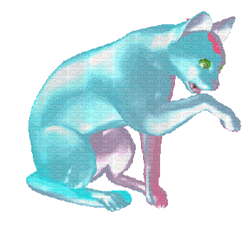 blue cat licking paw - GIF animado grátis