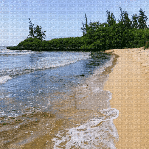 beach milla1959 - Безплатен анимиран GIF