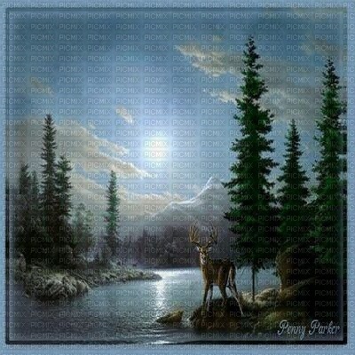 kikkapink background night moon forest - ilmainen png