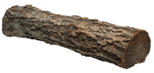 madera tronco dubravka4 - δωρεάν png