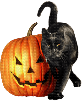Halloween cat with pumpkin by nataliplus - ücretsiz png