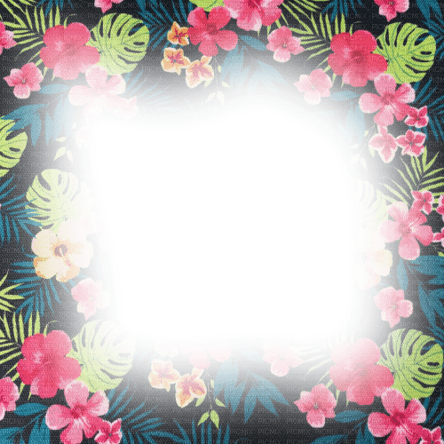 kikkapink tropical flowers summer frame - 免费PNG