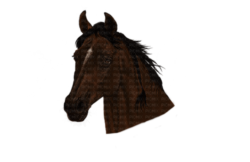 Pferd - PNG gratuit