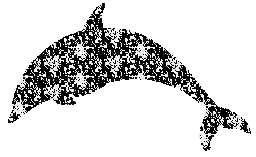 aze dauphin noir black blanc White - Animovaný GIF zadarmo