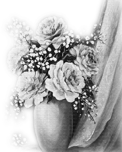 soave deco flowers  vintage   curtain black white - zadarmo png