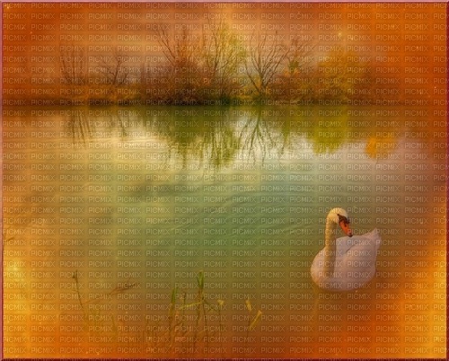 bg.landskap-sjö-svan---landscape sea-swan - gratis png