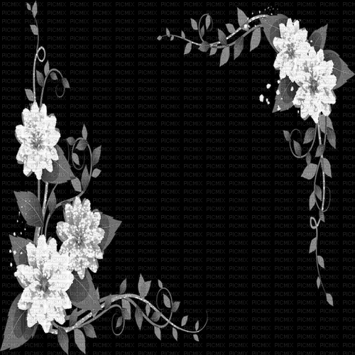 animated background black white milla1959 - GIF animado gratis