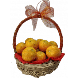 fruit oranges bp - PNG gratuit