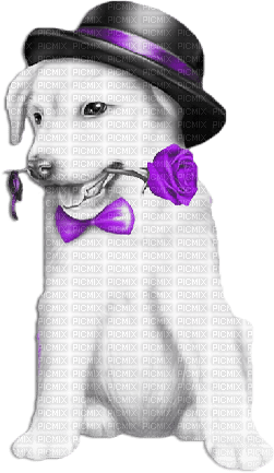 soave valentine deco animals dog flowers rose - δωρεάν png