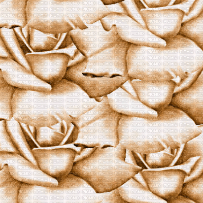 roses - GIF เคลื่อนไหวฟรี