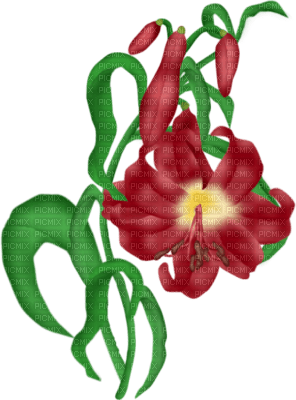 fleurs ( - png grátis