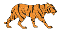 Tigre - Бесплатный анимированный гифка