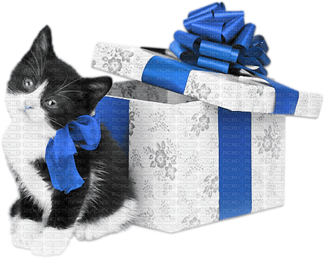 soave animals cat christmas winter gift box - 免费PNG