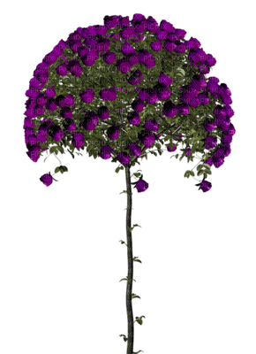 Kaz_Creations Deco Flowers Flower Colours Trees Tree - Free PNG