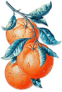 soave deco fruit summer orange blue - PNG gratuit