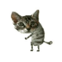 little cat dancing - Безплатен анимиран GIF