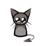 sad cat - Безплатен анимиран GIF