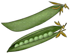 Gemüse - Безплатен анимиран GIF