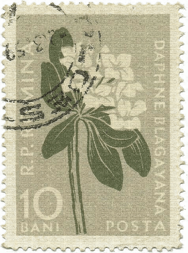 old green flower stamp - png ฟรี