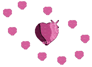 coe s34 rose pink - Bezmaksas animēts GIF