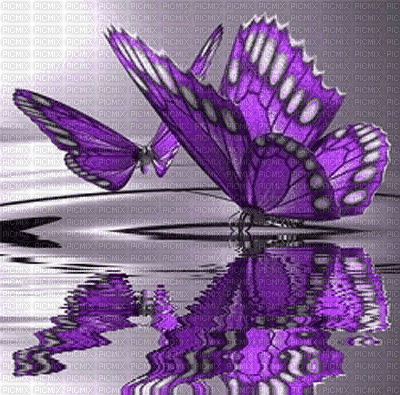 eau - Zdarma animovaný GIF