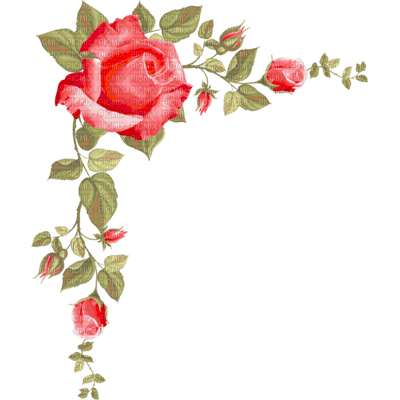 Coin fleur rouge red flower corner - Free PNG