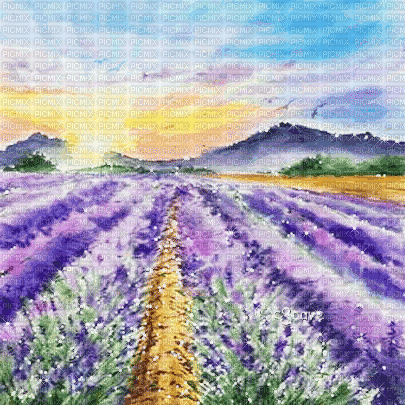 soave background animated field lavender vintage - 無料のアニメーション GIF