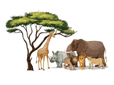 Africa animals bp - δωρεάν png