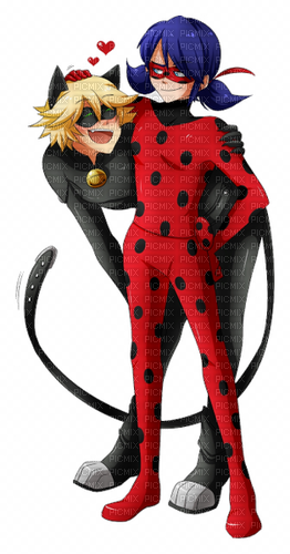 miraculous ladybug lady noir - 無料png