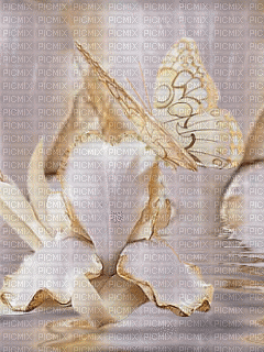 image encre animé effet papillon fleurs edited by me - Zdarma animovaný GIF