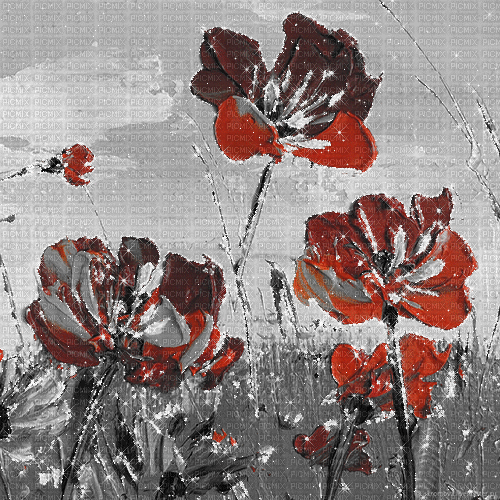 animated glitter flowers red black background - Gratis animeret GIF