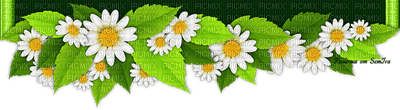 Green Frame - png gratuito