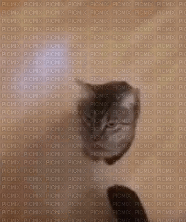 cat - Gratis geanimeerde GIF