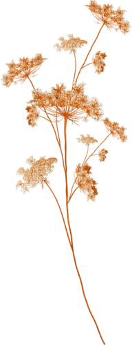 Orange.Dandelion.Fleur.Pissenlit.Victoriabea - PNG gratuit