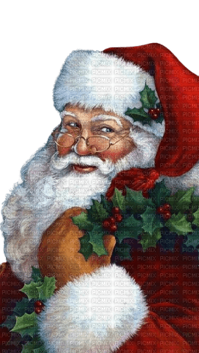 Santa Claus - png gratuito