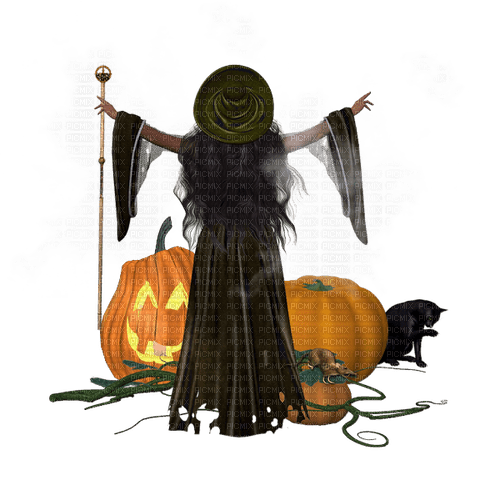 halloween hexe witch - bezmaksas png