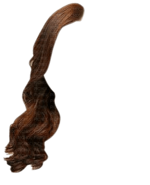 cheveux chatain D - zdarma png