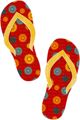 Kaz_Creations Beach Deco Flip Flops Shoes - png grátis