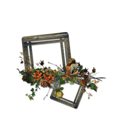 Kaz_Creations Deco Frames Flowers Frame - png gratis
