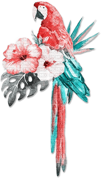 soave deco summer bird tropical parrot flowers - Free PNG