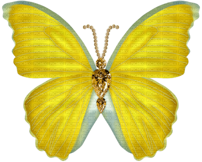 Butterfly Gold Yellow - Bogusia - kostenlos png