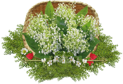 MUGUET lily of the valley - 免费PNG