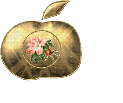 pomme chaton - GIF animasi gratis