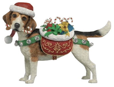 Kaz_Creations Christmas Dog Pup Dogs Colours - darmowe png