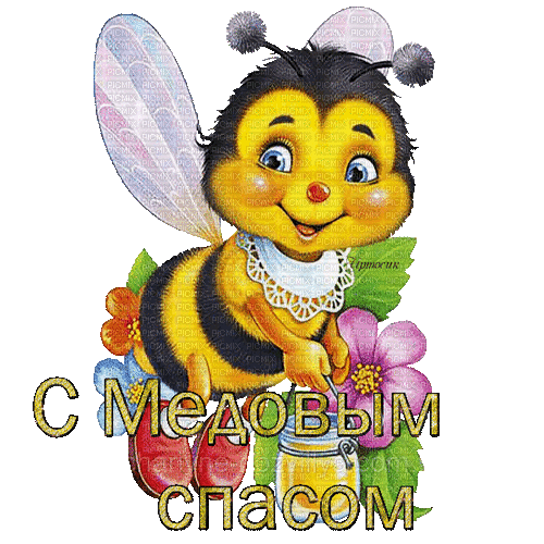 Honey saved - Nemokamas animacinis gif