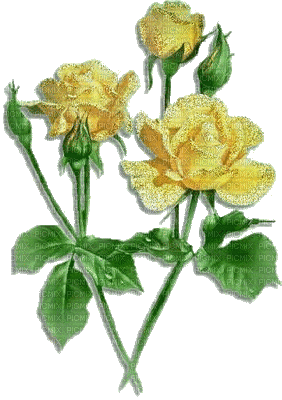 fleur jaune.Cheyenne63 - Безплатен анимиран GIF