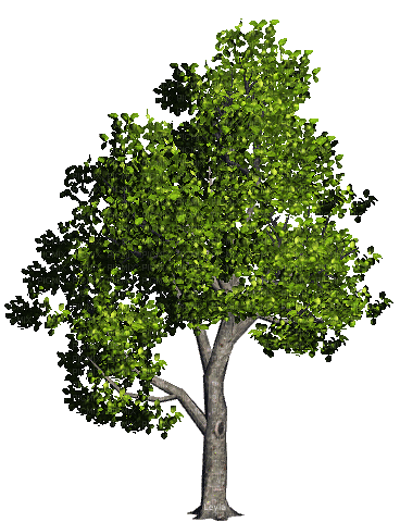 TREE - GIF animado grátis