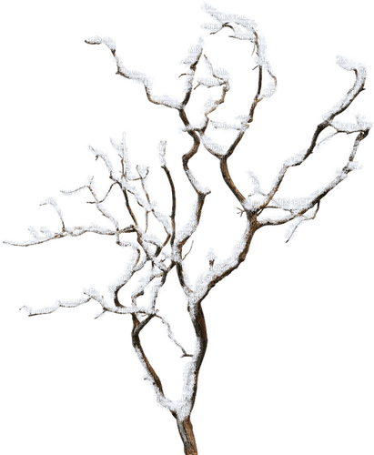 Winter.Tree.Brown.White - png ฟรี