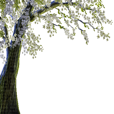 tree (created with gimp) - GIF animado grátis