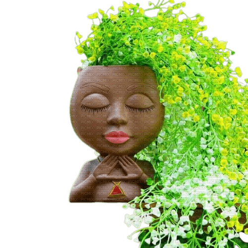 déco fleurs zen - png gratis